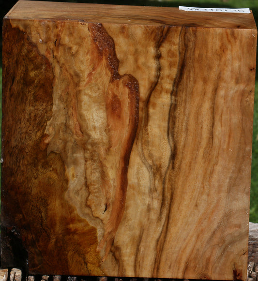 Figured Australian Eucalyptus Burl Bowl Blank