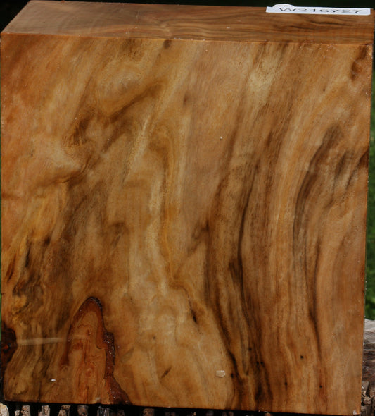 Figured Australian Eucalyptus Burl Bowl Blank