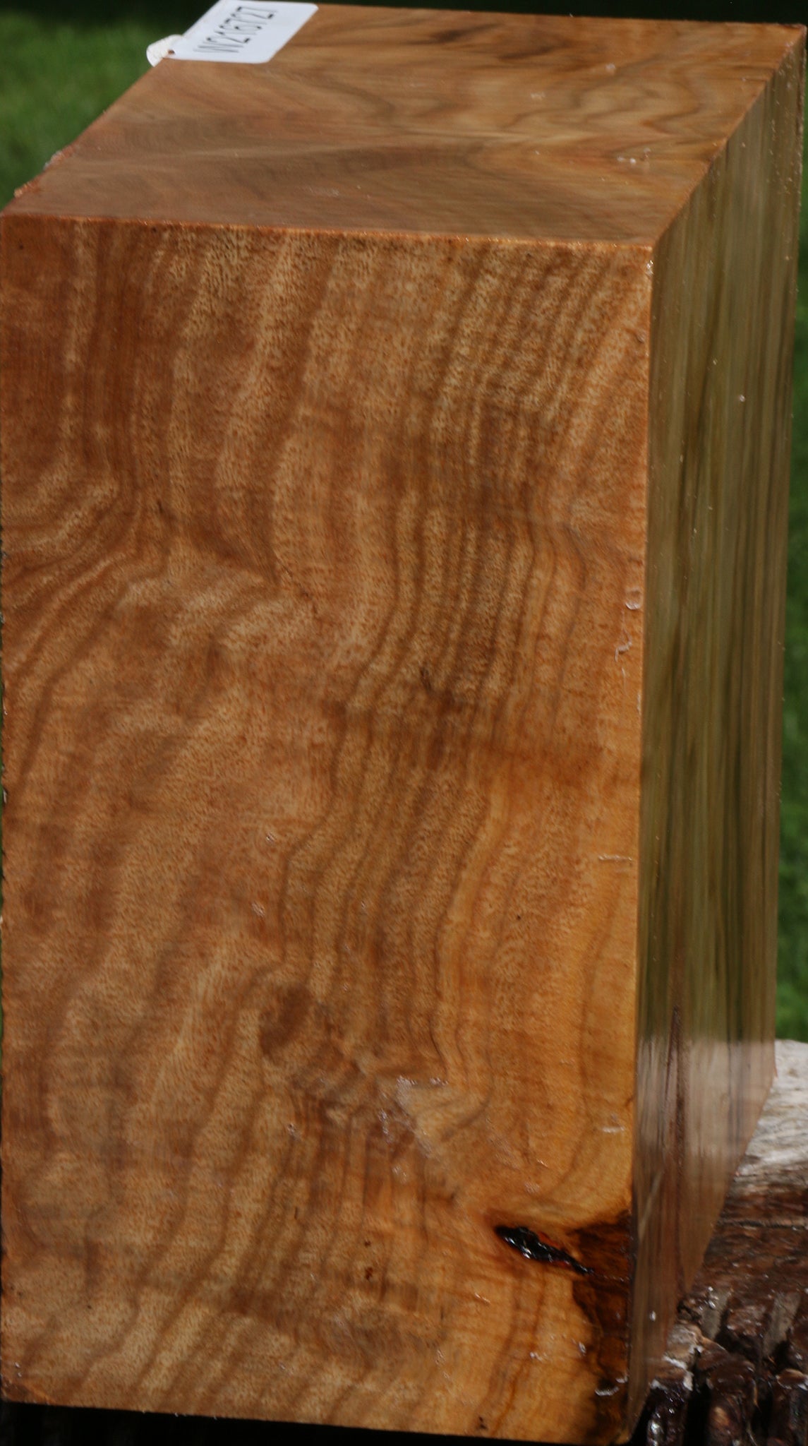 Figured Australian Eucalyptus Burl Bowl Blank