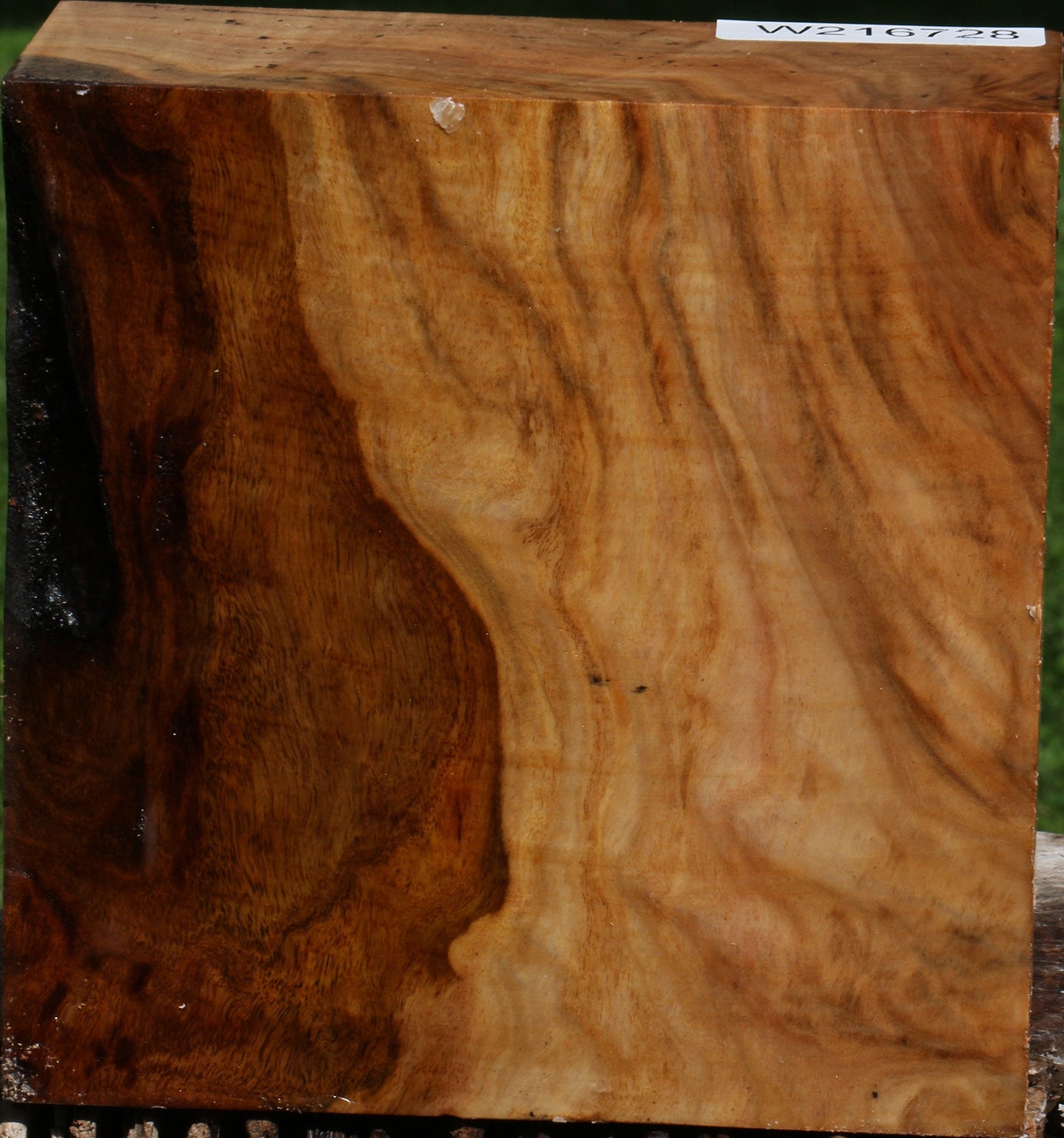 Australian Eucalyptus Burl Bowl Blank