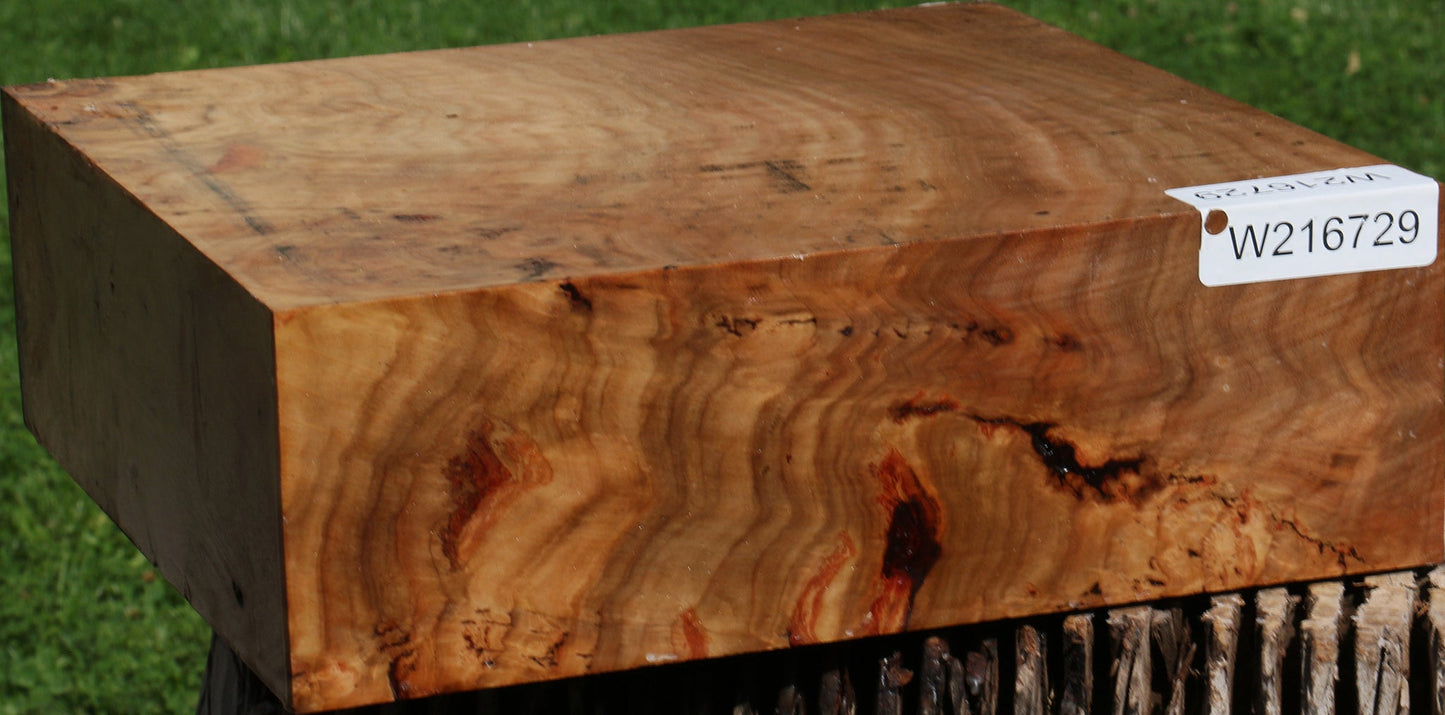 Extra Fancy Australian Eucalyptus Burl Bowl Blank