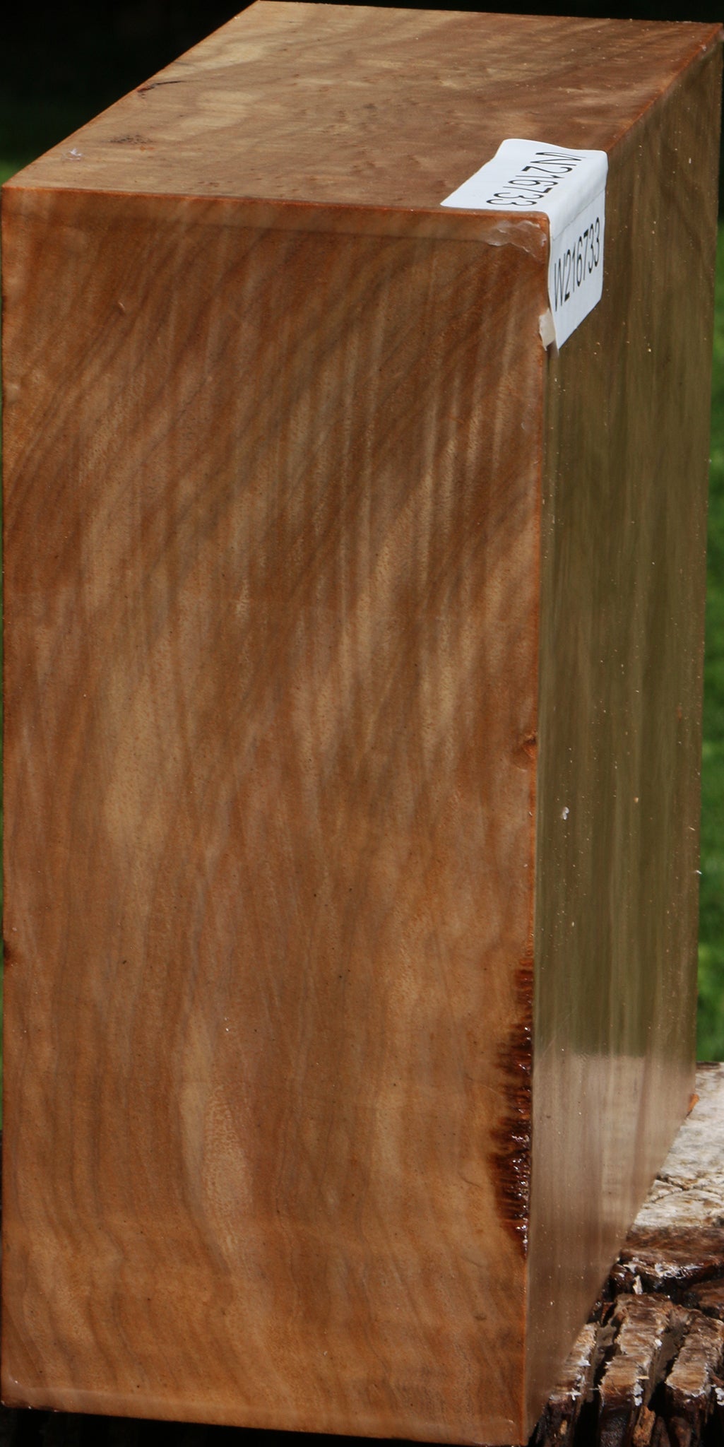 Figured Australian Eucalyptus Burl Bowl Blank