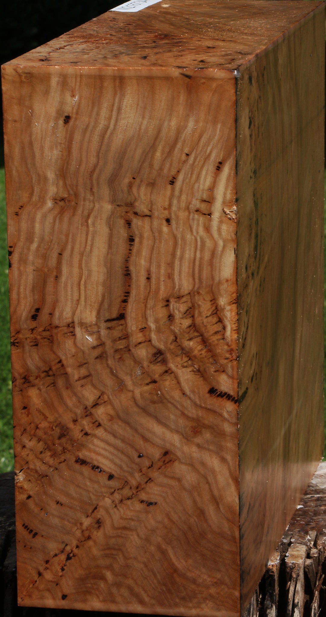 Extra Fancy Australian Eucalyptus Burl Bowl Blank