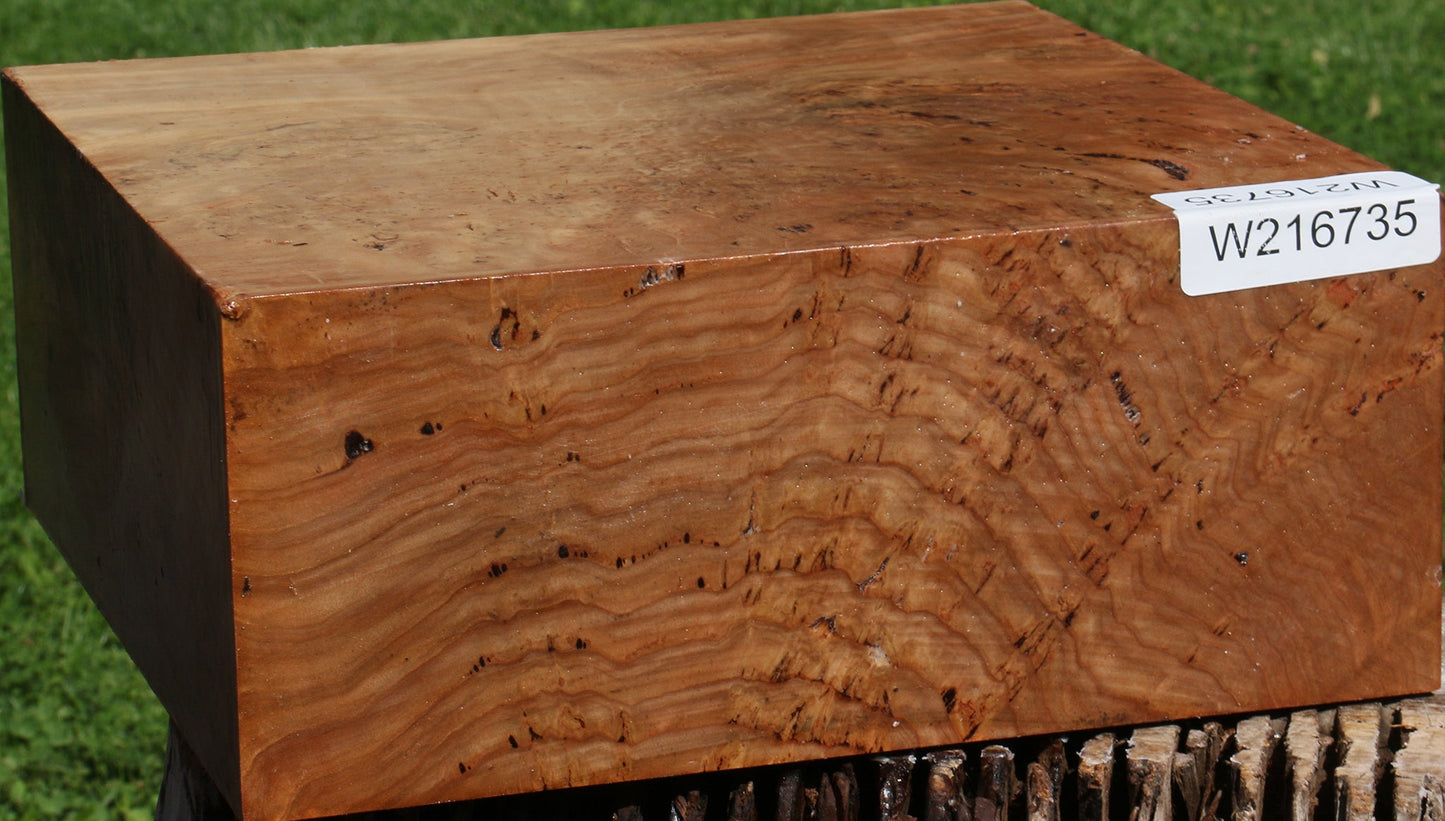 Extra Fancy Australian Eucalyptus Burl Bowl Blank