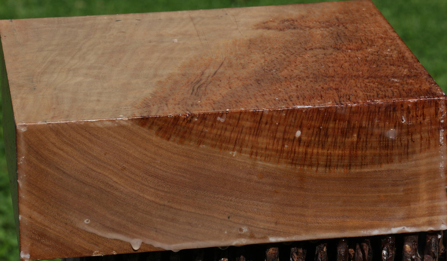 Figured Australian Eucalyptus Burl Bowl Blank