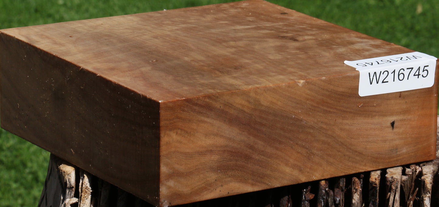 Figured Australian Eucalyptus Burl Bowl Blank