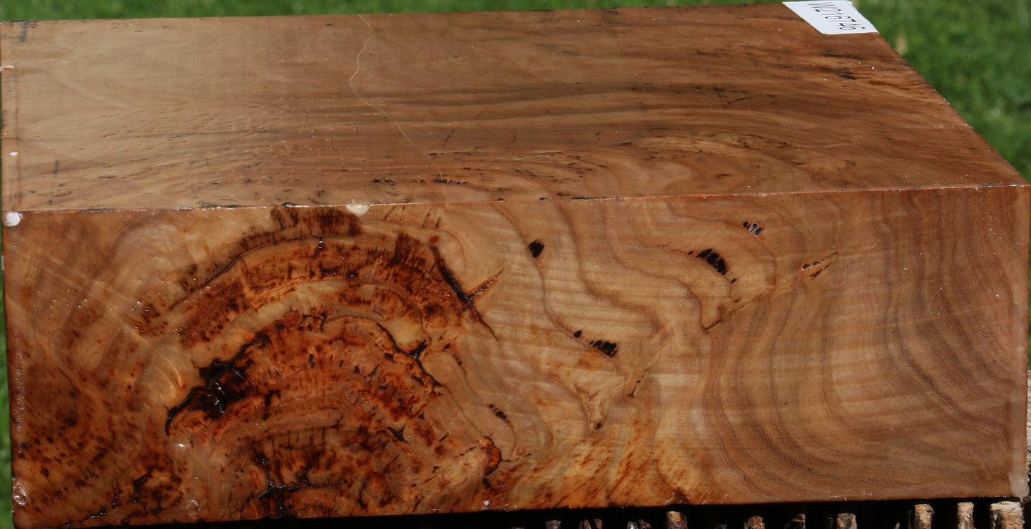 Figured Australian Eucalyptus Burl Bowl Blank