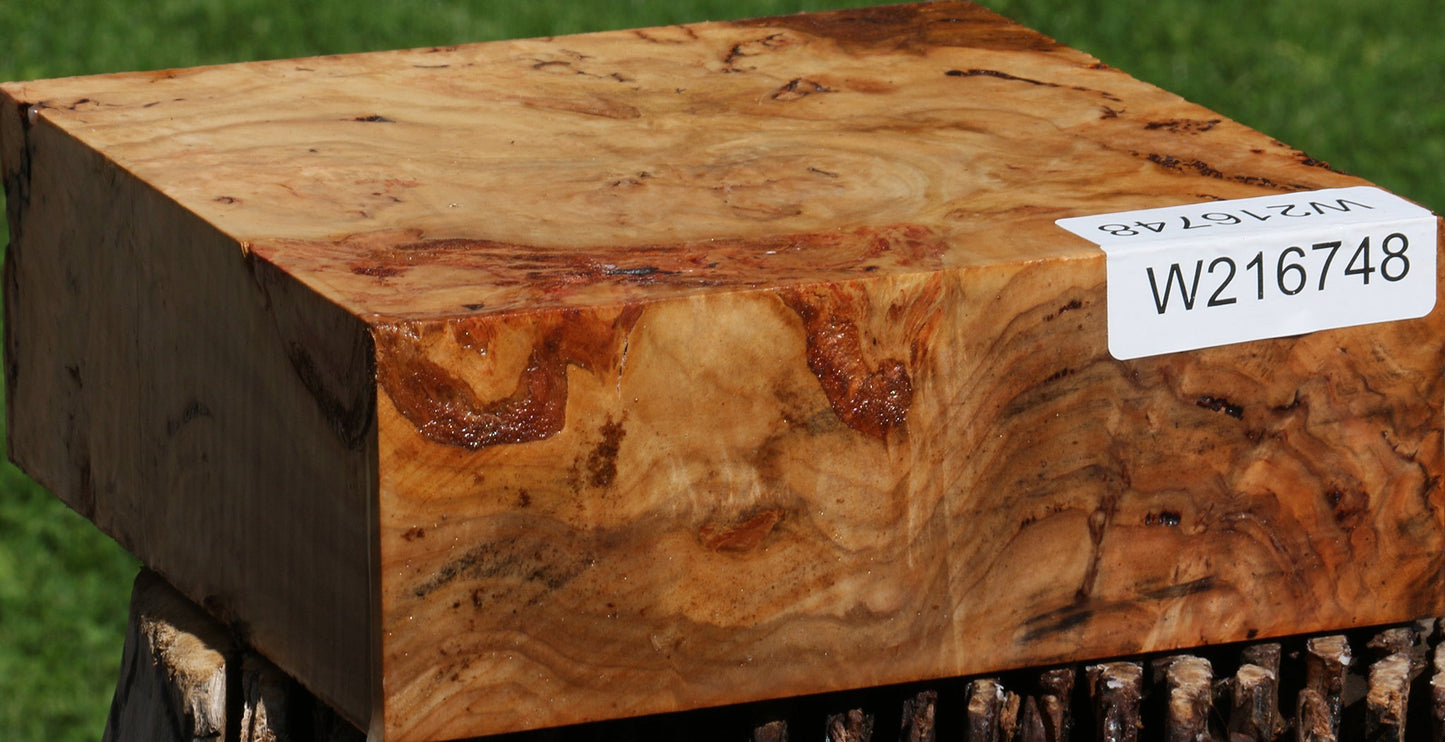 Extra Fancy Australian Eucalyptus Burl Bowl Blank