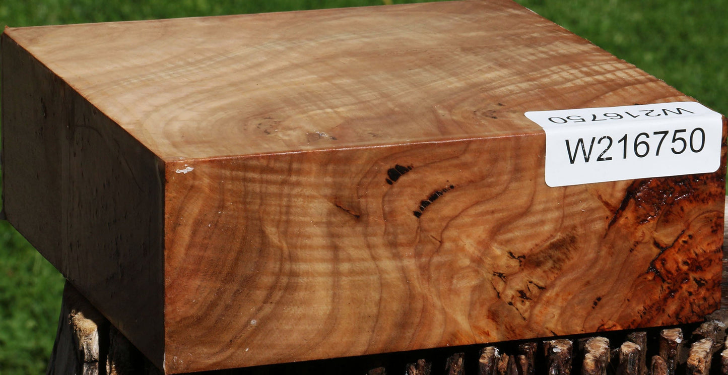 Australian Eucalyptus Burl Bowl Blank