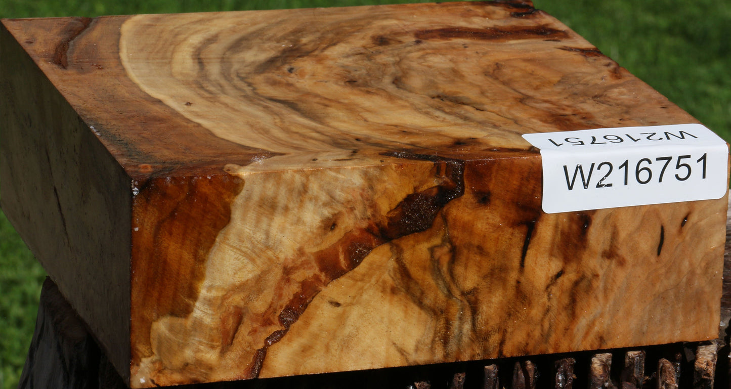 Extra Fancy Australian Eucalyptus Burl Bowl Blank