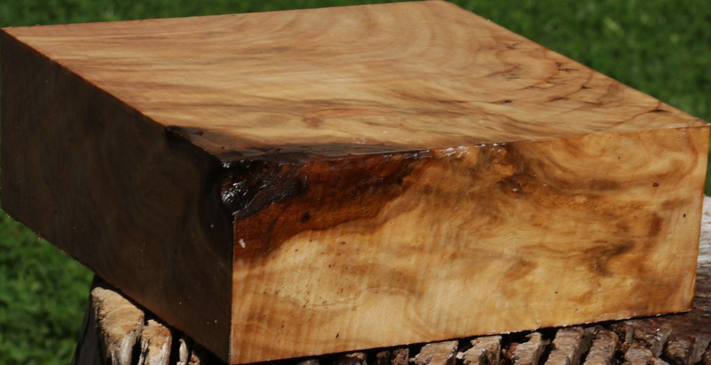 Extra Fancy Australian Eucalyptus Burl Bowl Blank