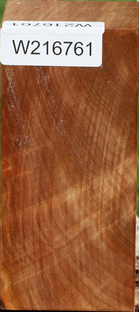 Figured Australian Eucalyptus Burl Turning Square