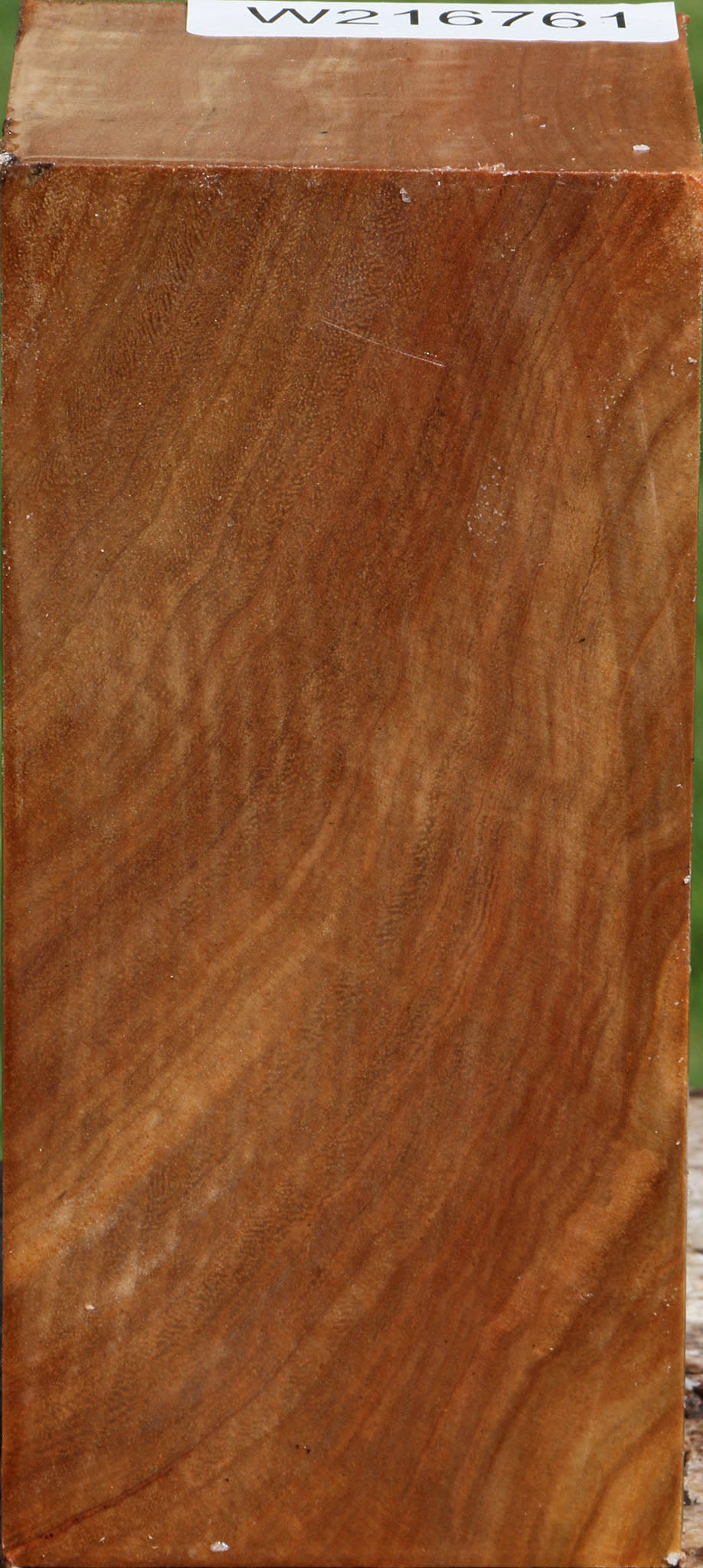 Figured Australian Eucalyptus Burl Turning Square