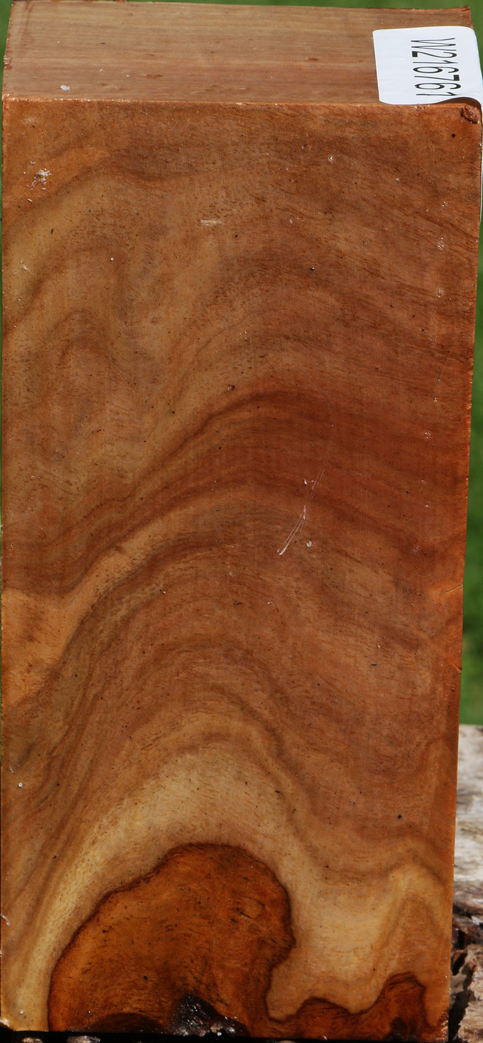 Figured Australian Eucalyptus Burl Turning Square