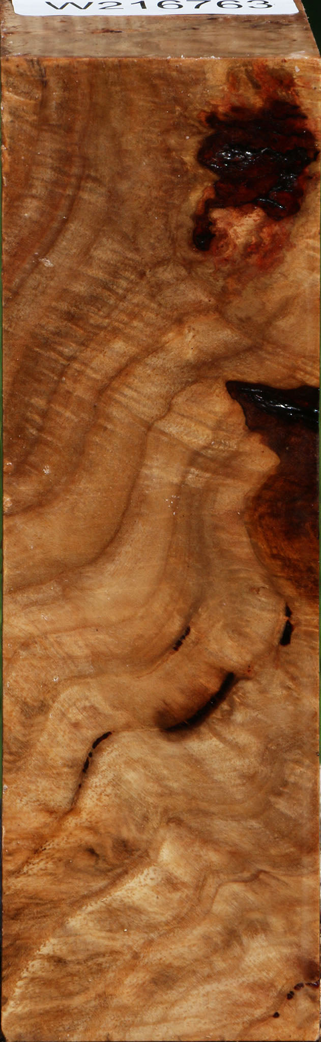 Extra Fancy Australian Eucalyptus Burl Turning Square