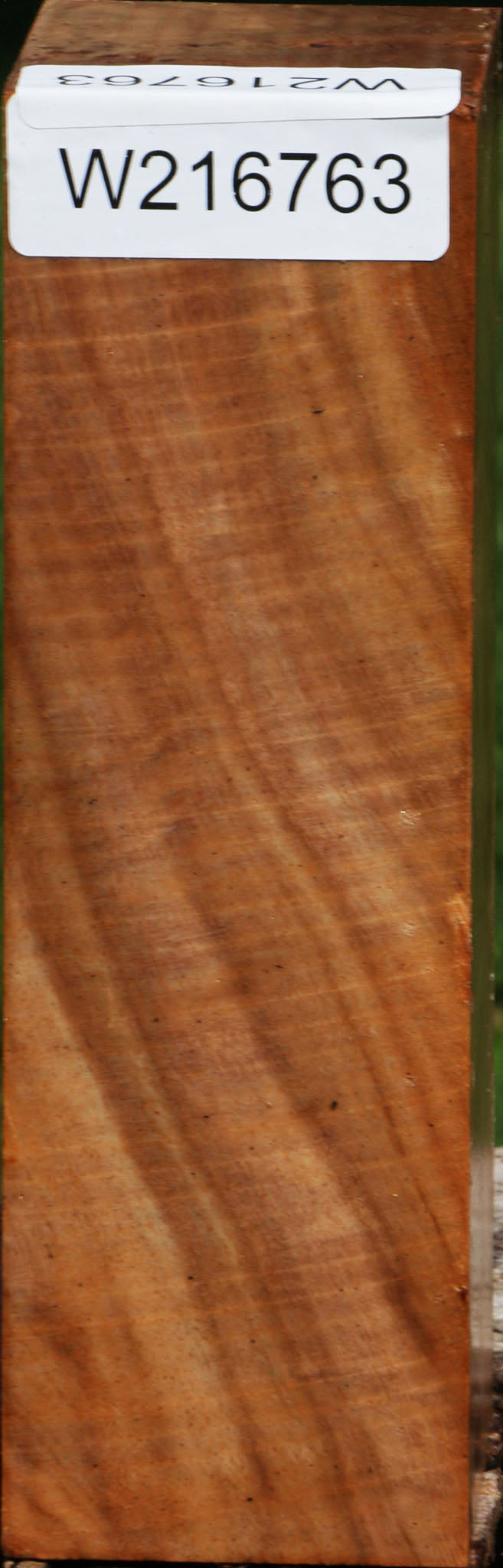 Extra Fancy Australian Eucalyptus Burl Turning Square