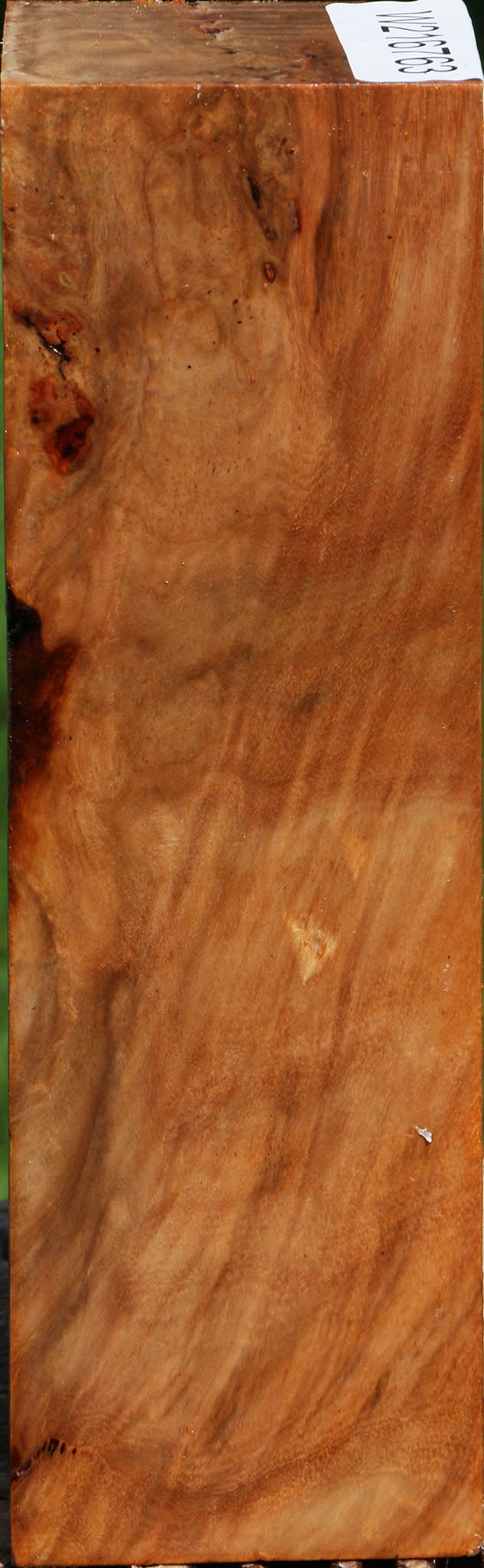 Extra Fancy Australian Eucalyptus Burl Turning Square