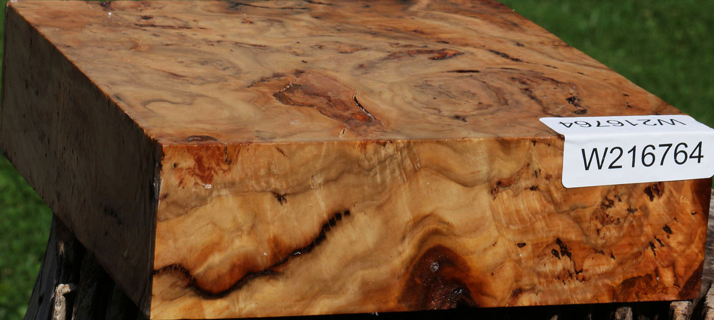 Extra Fancy Australian Eucalyptus Burl Bowl Blank