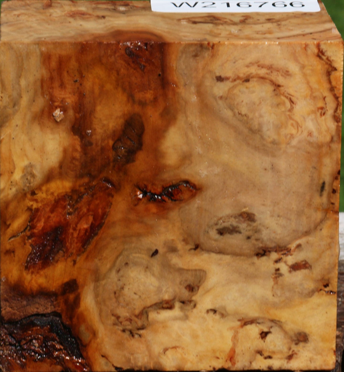 Australian Eucalyptus Burl Bowl Blank