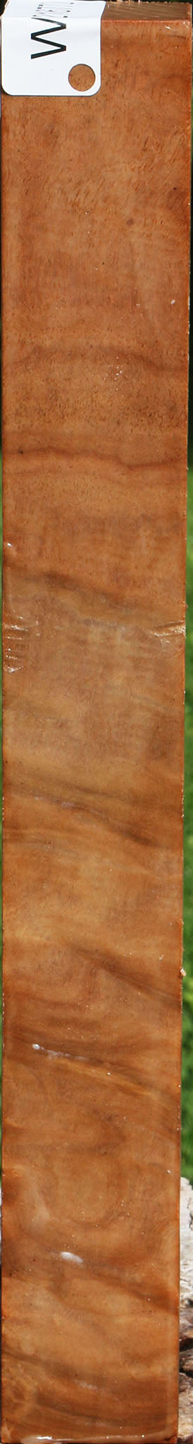 Extra Fancy Australian Eucalyptus Burl Turning Square