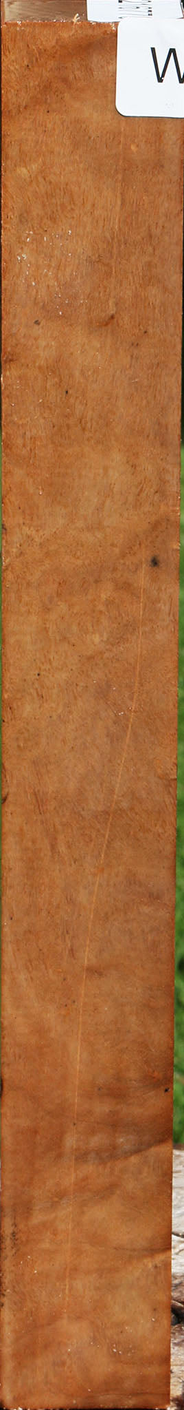 Extra Fancy Australian Eucalyptus Burl Turning Square