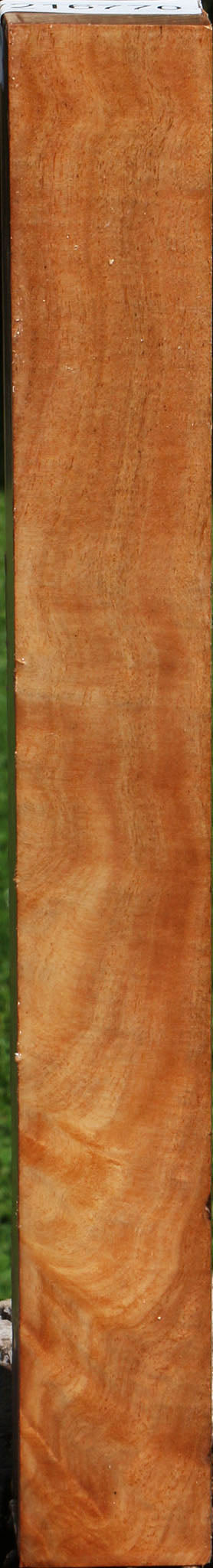 Extra Fancy Australian Eucalyptus Burl Turning Square