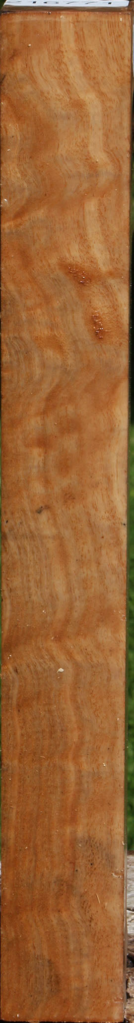 Extra Fancy Australian Eucalyptus Burl Turning Square