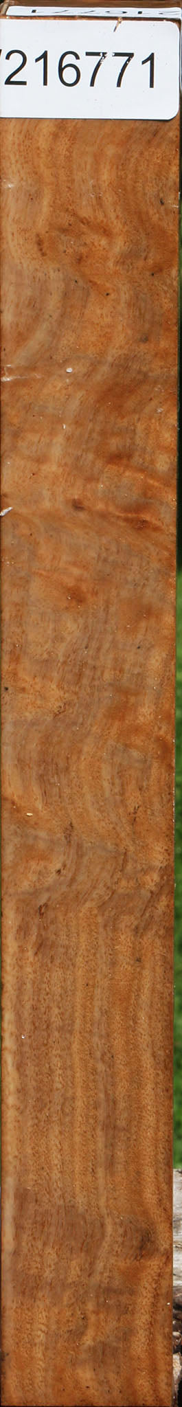 Extra Fancy Australian Eucalyptus Burl Turning Square