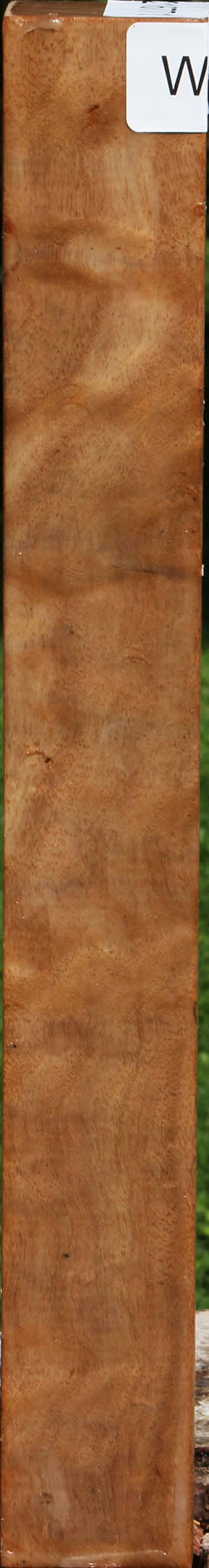 Extra Fancy Australian Eucalyptus Burl Turning Square