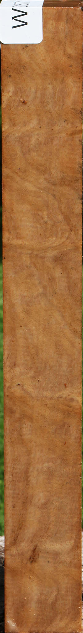 Extra Fancy Australian Eucalyptus Burl Turning Square