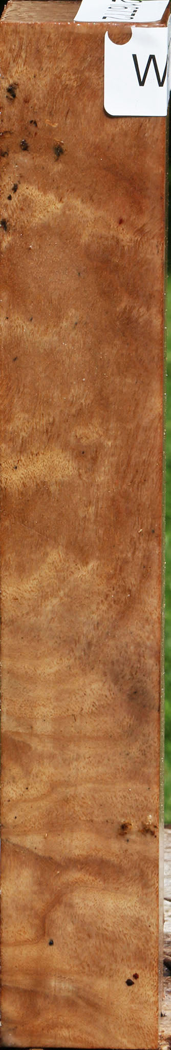 Figured Australian Eucalyptus Burl Turning Square