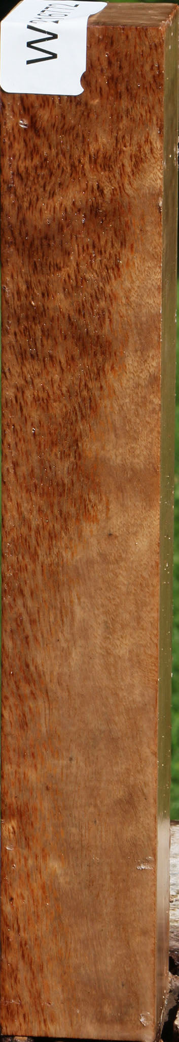 Figured Australian Eucalyptus Burl Turning Square