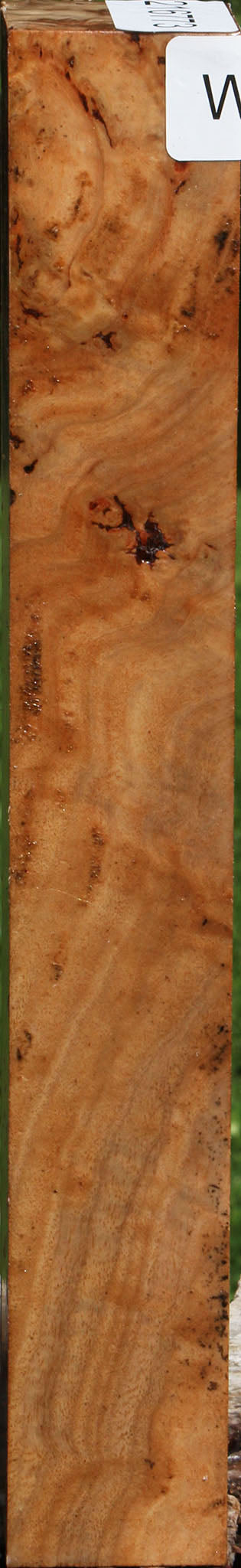 Figured Australian Eucalyptus Burl Turning Square