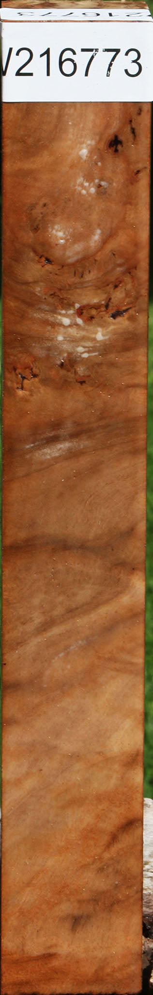 Figured Australian Eucalyptus Burl Turning Square