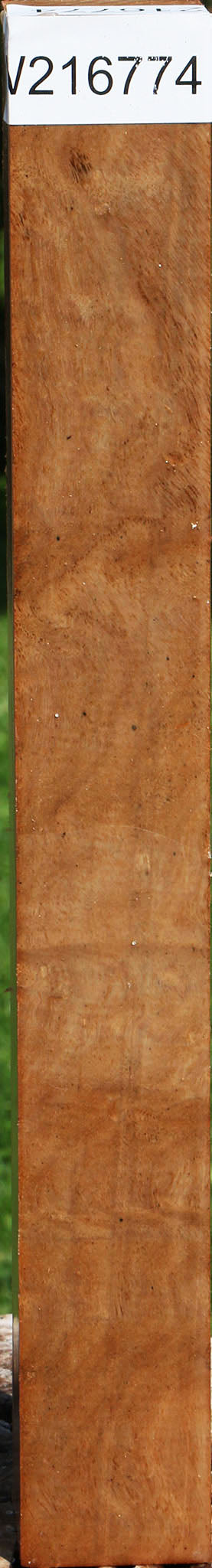 Figured Australian Eucalyptus Burl Turning Square