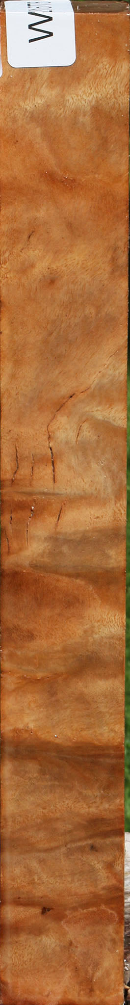 Figured Australian Eucalyptus Burl Turning Square