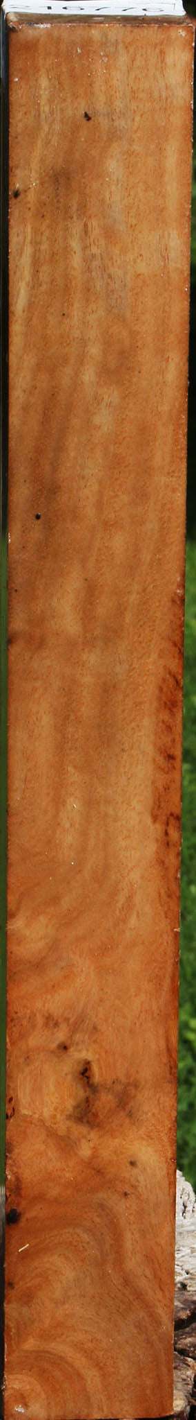 Figured Australian Eucalyptus Burl Turning Square