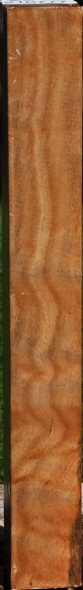 Extra Fancy Australian Eucalyptus Burl Turning Square