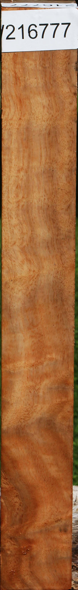 Extra Fancy Australian Eucalyptus Burl Turning Square