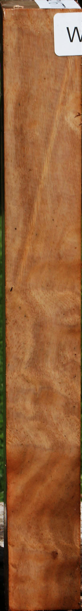 Extra Fancy Australian Eucalyptus Burl Turning Square