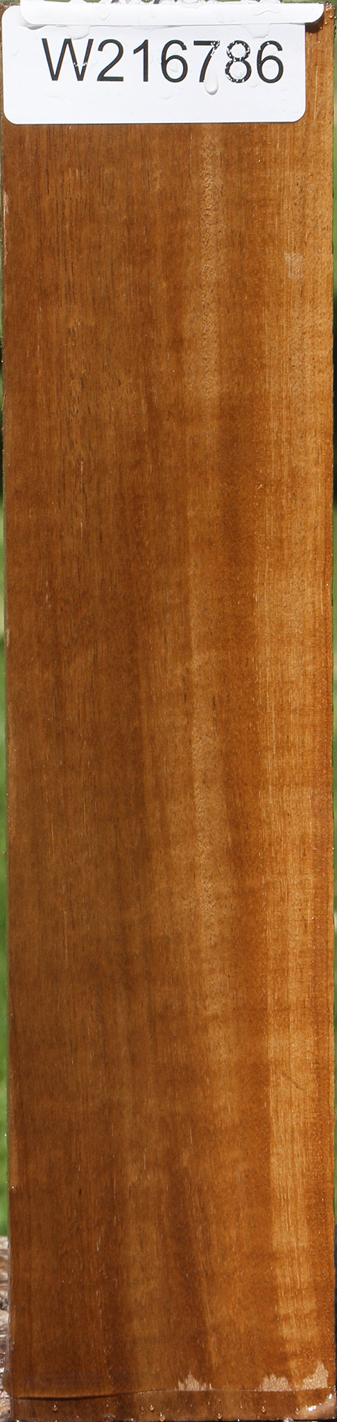 Extra Fancy Fiddleback African Bog Birch Lumber