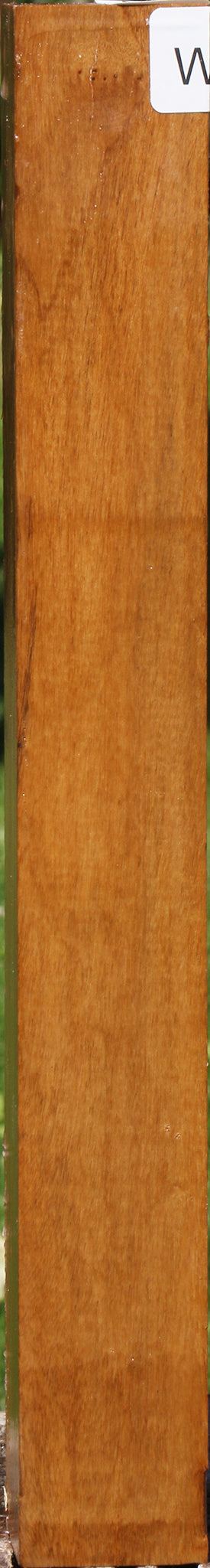 African Bog Birch Turning Square