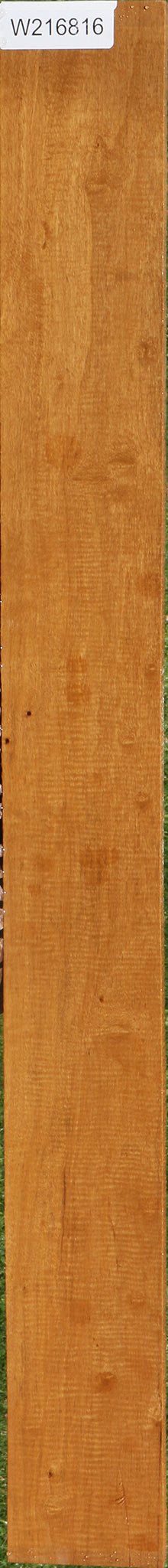 Extra Fancy African Bog Birch Lumber