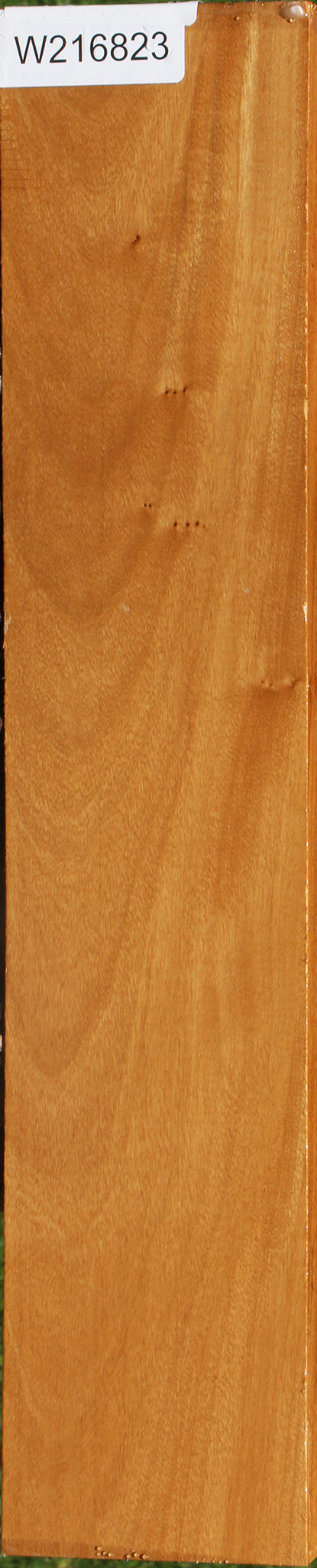 African Bog Birch Lumber