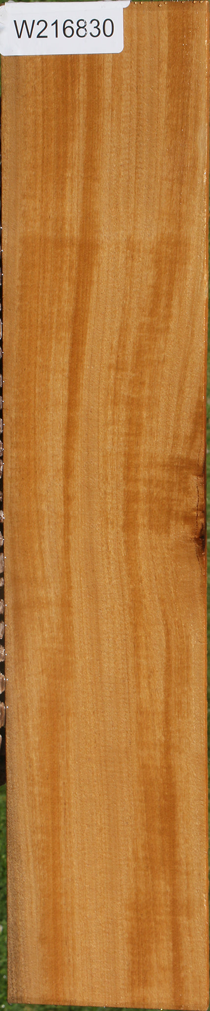 Figured African Bog Birch Micro Lumber