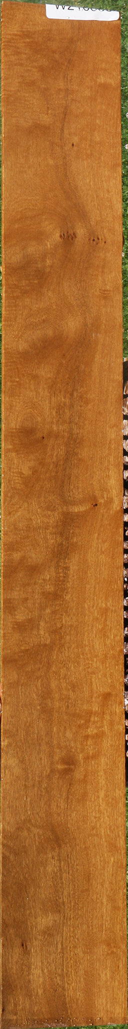 Extra Fancy African Bog Birch Micro Lumber