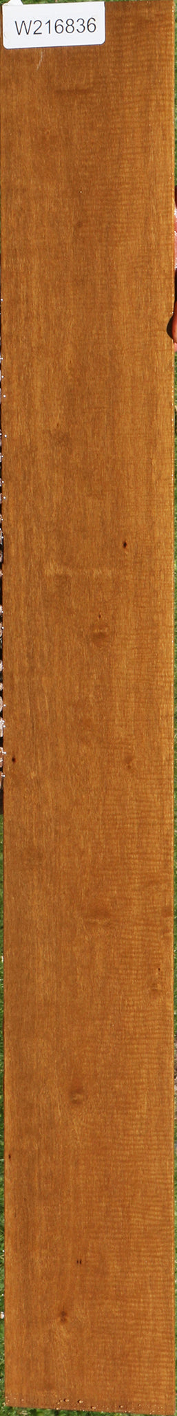 Extra Fancy African Bog Birch Micro Lumber