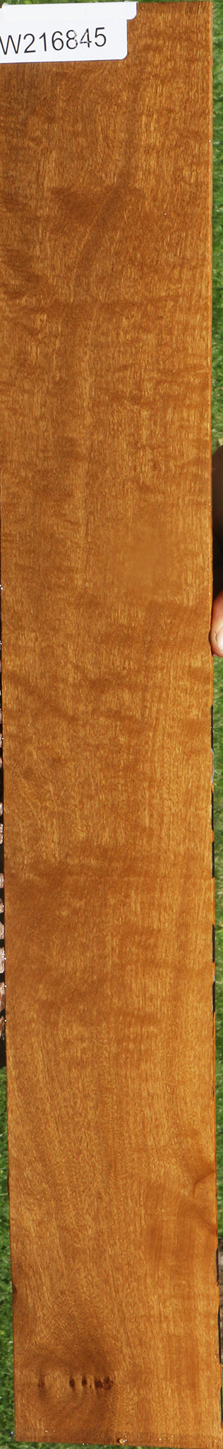 Extra Fancy African Bog Birch Micro Lumber