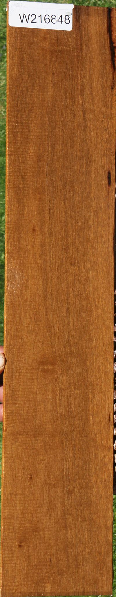 Extra Fancy African Bog Birch Micro Lumber