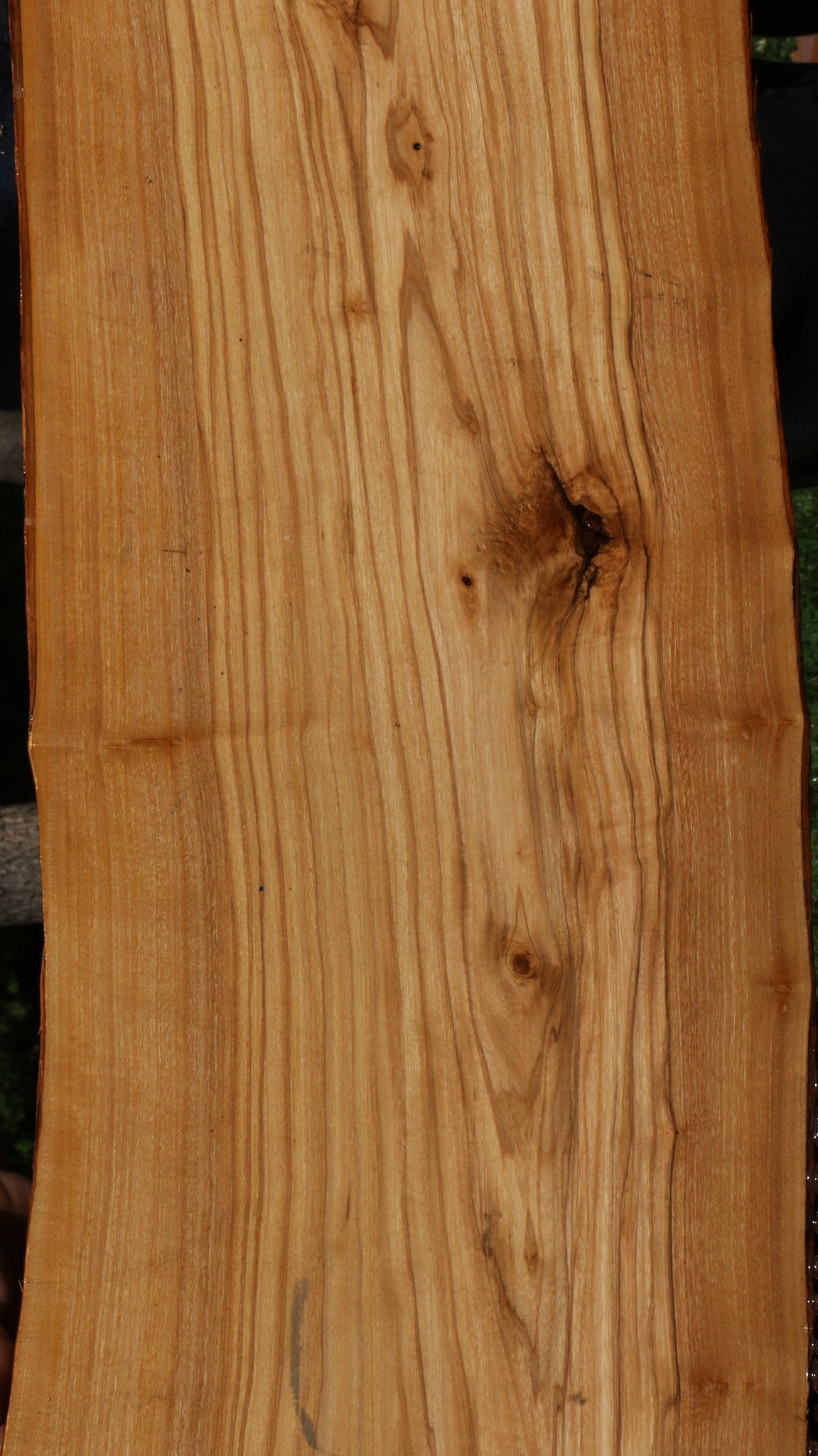 Italian Olive Live Edge Lumber